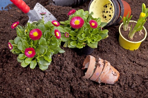 Illustration representing cookie settings for Gardeners Chelsfield