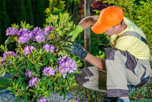 Gardeners Chelsfield modern slavery statement introduction