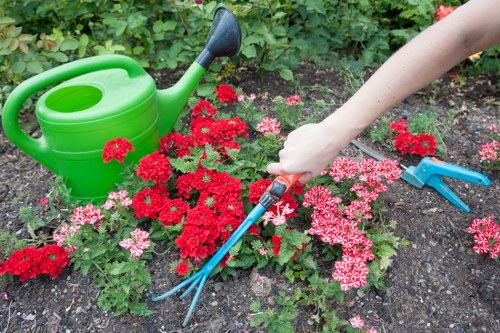Garden maintenance work in a Chelsfield garden with tidy lawn and borders