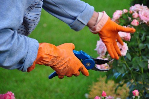 Example of a tidy suburban garden maintenance job