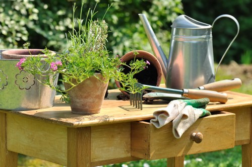 Seasonal grass maintenance in Chelsfield