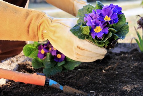 Professional garden maintenance in Chelsfield including hedge trimming and lawn care