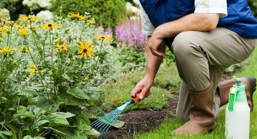 Graphic showing essential cookies used on a gardening service website