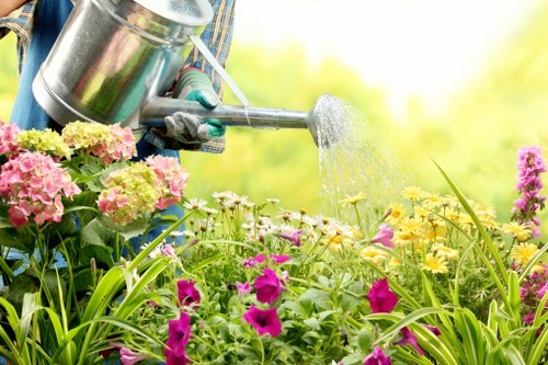 Professional garden care in Chelsfield with seasonal attention