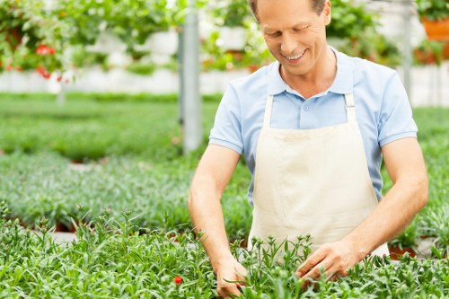Professional gardening services in Chelsfield for healthy lawns
