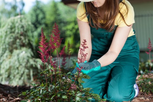 Gardeners Chelsfield using PPE during landscape work