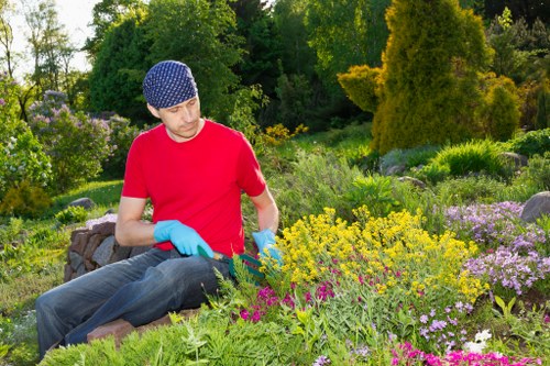 Professional lawn care for Chelsfield homes
