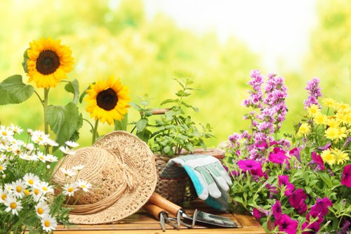 Regular gardening services in Chelsfield for healthy outdoor spaces