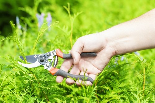 Trusted gardeners in Chelsfield maintaining lawns and borders