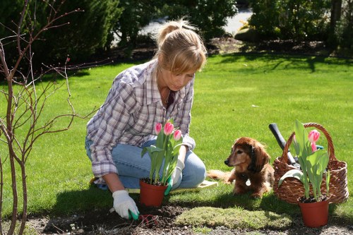 Seasonal hedge maintenance in Chelsfield