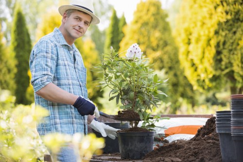 Lawn care and edging as part of garden maintenance in Chelsfield