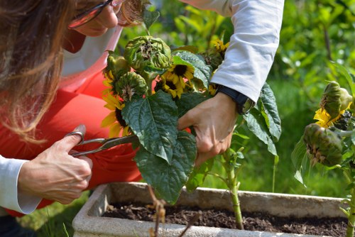 Professional gardener handling a service complaint carefully