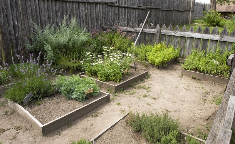 plants plants  / your plants